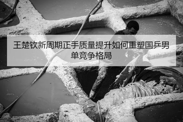 王楚钦新周期正手质量提升如何重塑国乒男单竞争格局