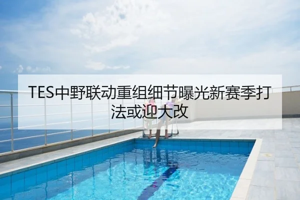 TES中野联动重组细节曝光新赛季打法或迎大改