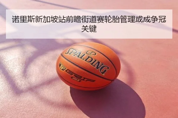 诺里斯新加坡站前瞻街道赛轮胎管理或成争冠关键