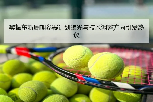 樊振东新周期参赛计划曝光与技术调整方向引发热议